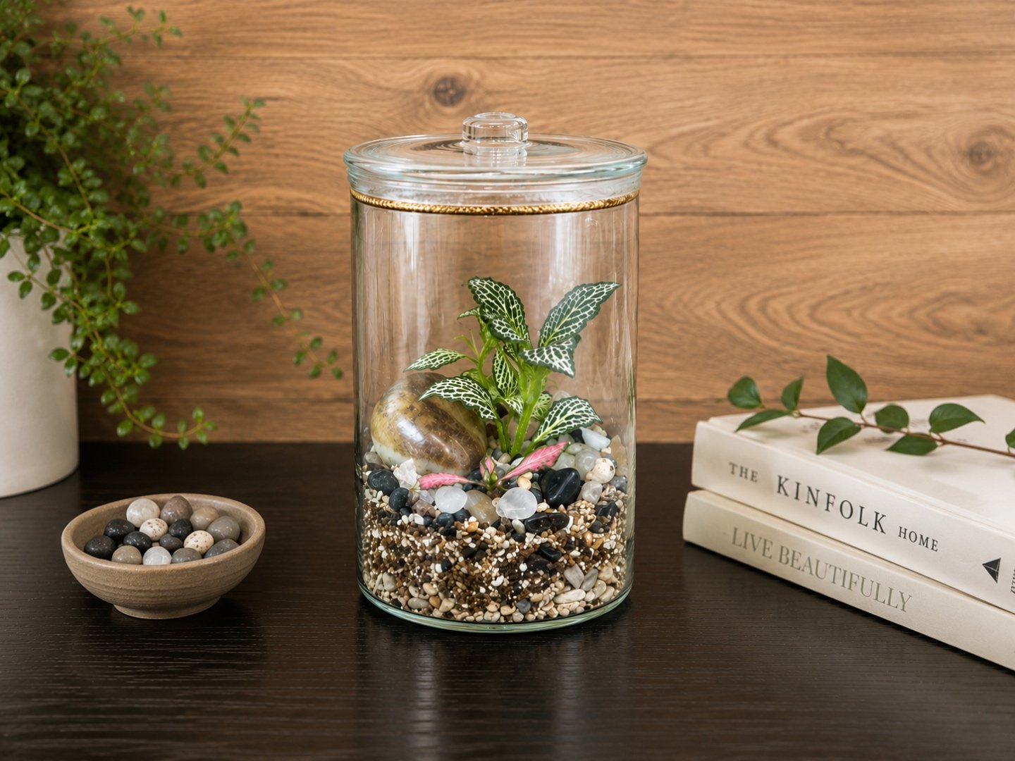 A close-up of a layered glass terrarium with moss, pebbles, and a fittonia plant