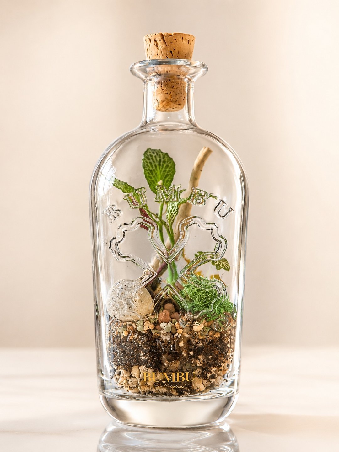 Bumbu rum bottle terrarium with a cork stopper, driftwood, moss and small plants.