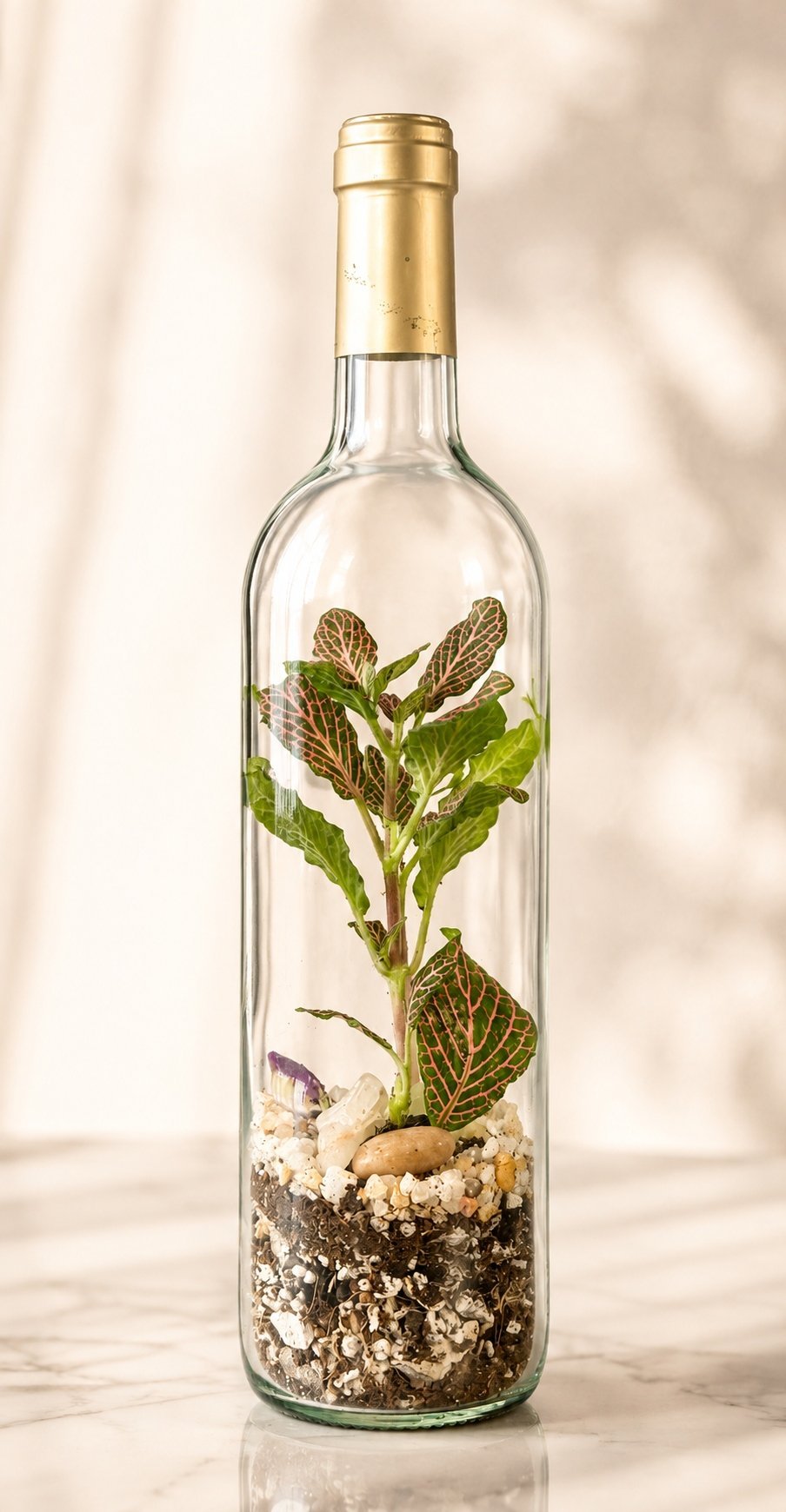 Tall wine bottle terrarium with a pink-veined fittonia plant, white pebbles and driftwood inside.